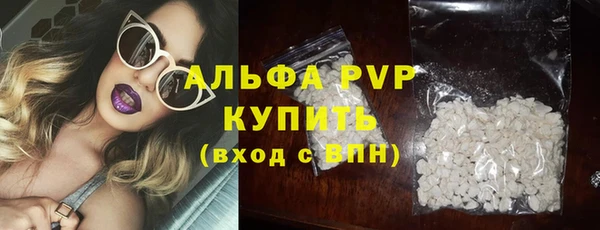 индика Арсеньев