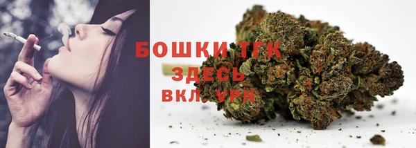 индика Арсеньев