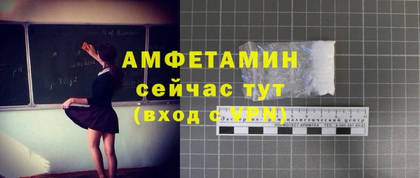 индика Арсеньев