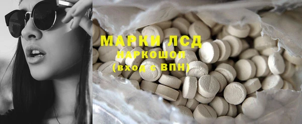 индика Арсеньев