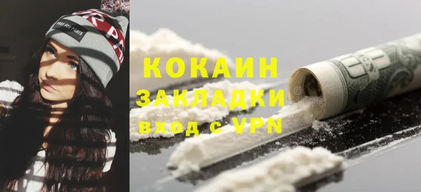 индика Арсеньев