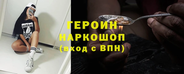 индика Арсеньев