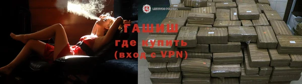 индика Арсеньев