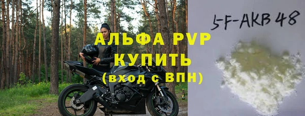 индика Арсеньев