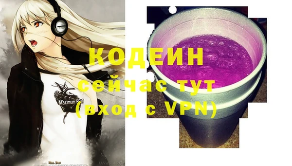 индика Арсеньев