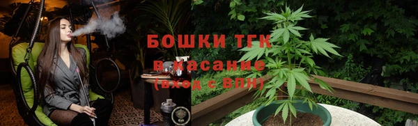 индика Арсеньев