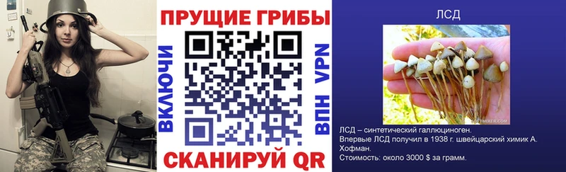 нарко площадка как зайти  Ступино  Псилоцибиновые грибы прущие грибы 